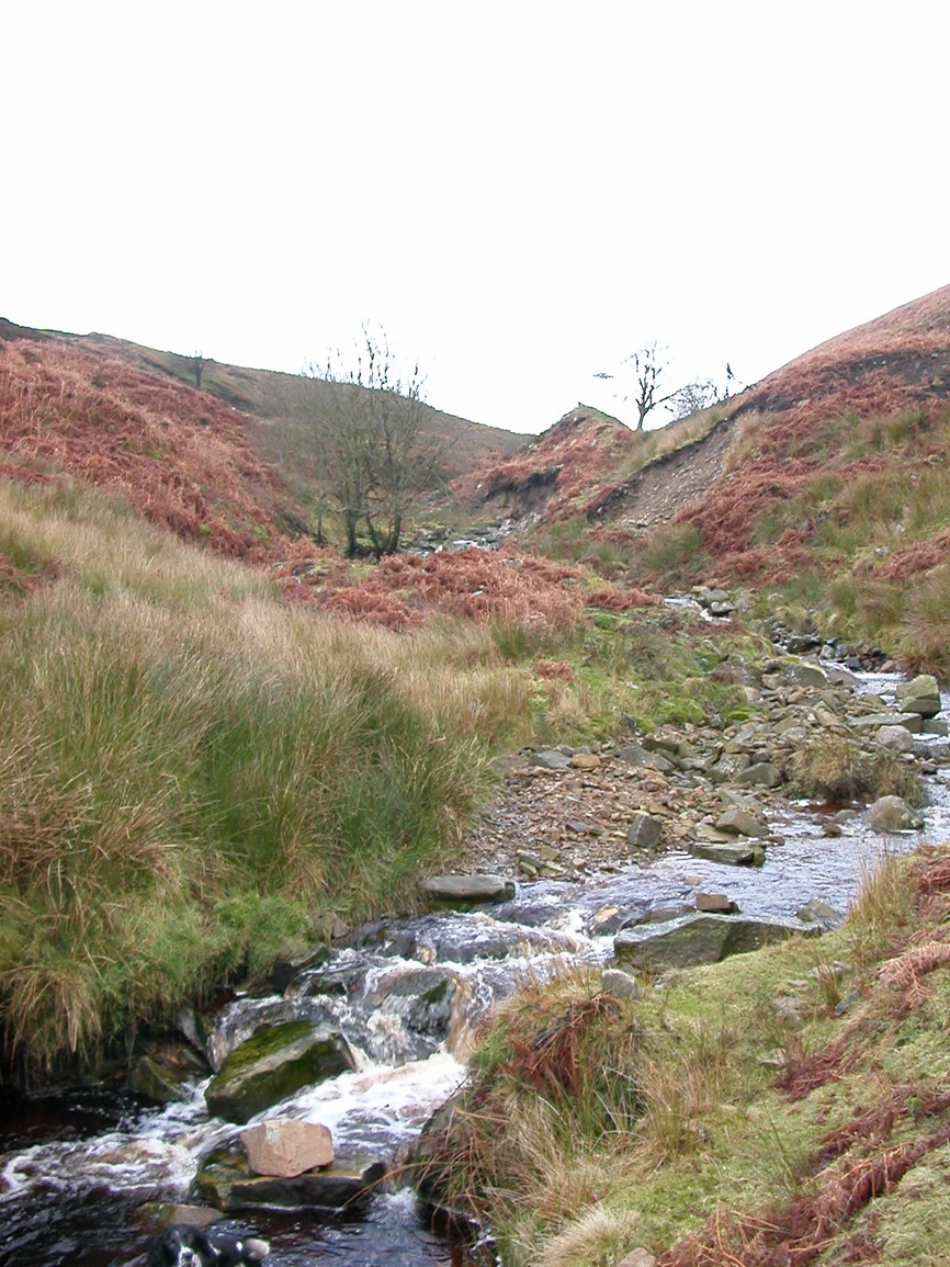 Moor stream